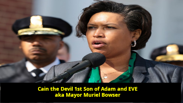 cain_muriel_rev640